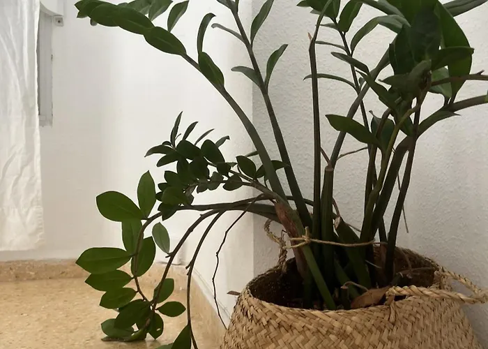 Blayet - Automatizado Guest house Valencia